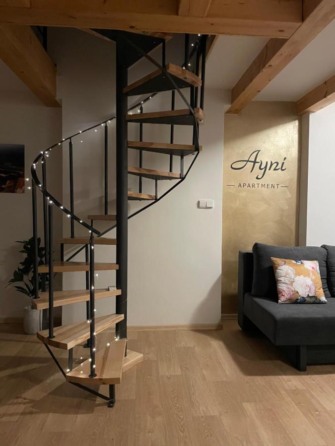 Ayni Apartman Semily Kültér fotó